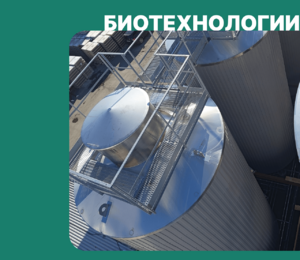 Expansion of the fermenter floor for the Sukhumsky brewery